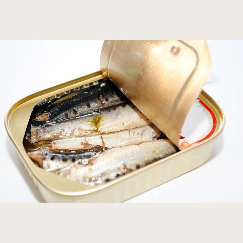 Sardine