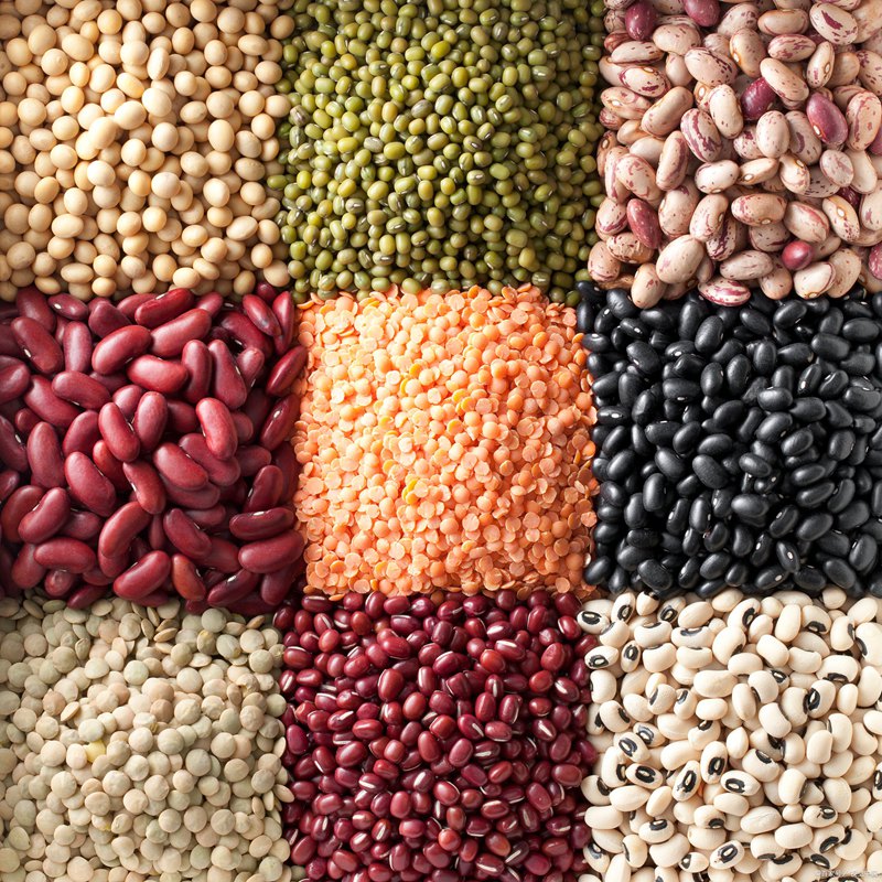 Canned Legumes